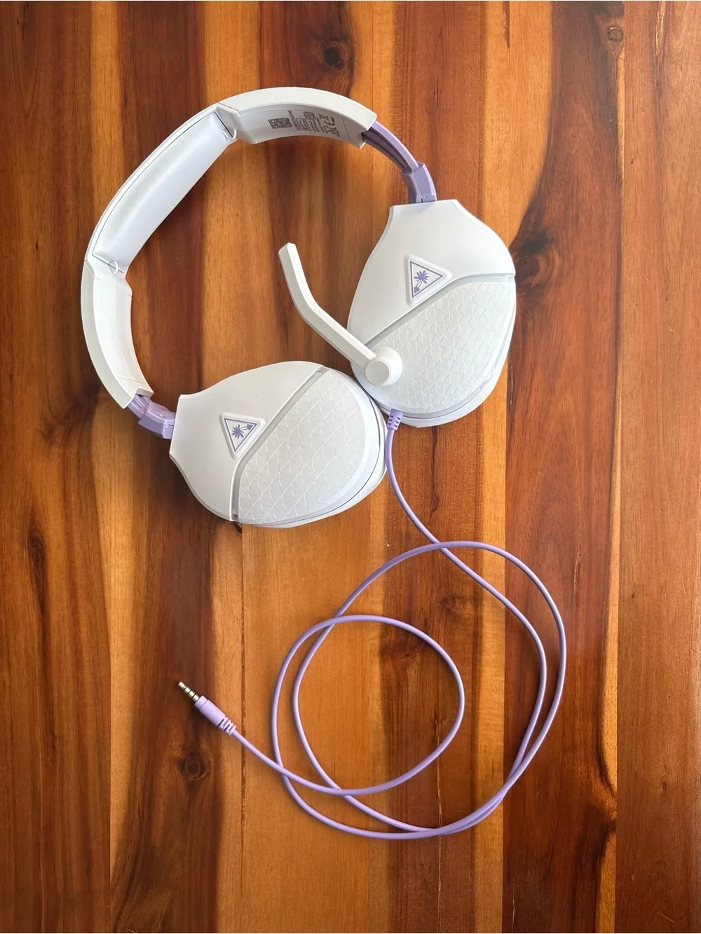 Turtle Beach brand turtle